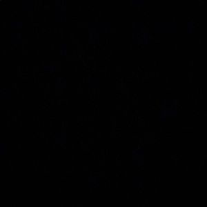 Meet your Posher, Cole